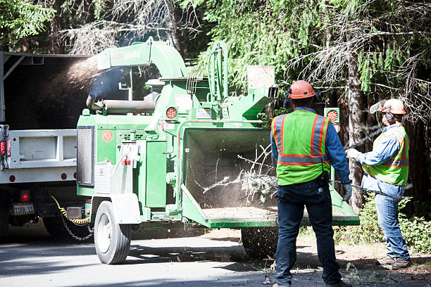 Lawn Drainage Solutions in Waldo, AR